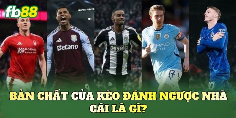 Kèo Đánh Ngược Nhà Cái Là Gì? Cách Nhìn Kèo Chuẩn