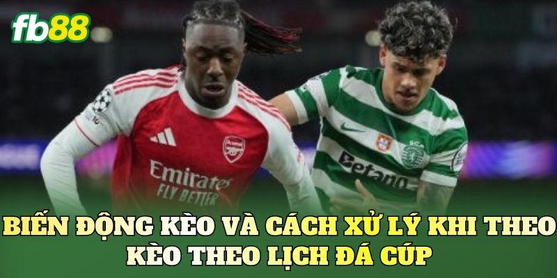 Kèo Theo Lịch Đá Cúp: Cách Đọc Kèo Hiệu Quả