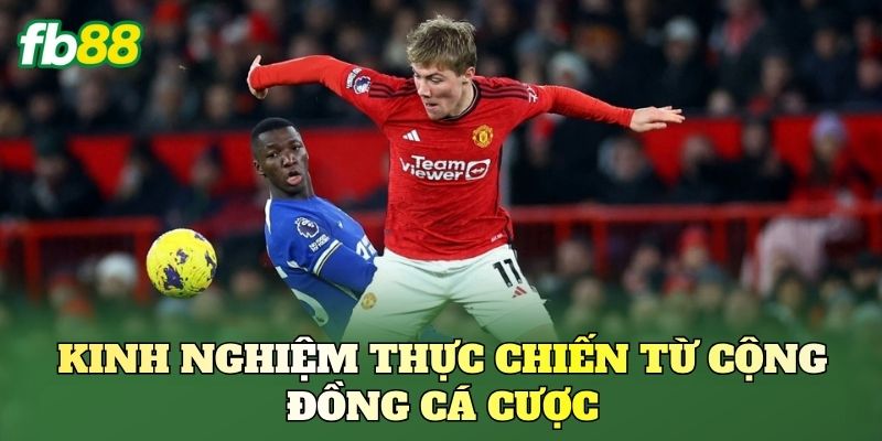 Kèo Đánh Ngược Nhà Cái Là Gì? Cách Nhìn Kèo Chuẩn