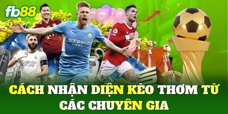 Kèo Thơm Và Bí Quyết Săn Tỷ Lệ Cược Ăn Đậm Nhất Tại FB88 Kèo Thơm Và Bí Quyết Săn Tỷ Lệ Cược Ăn Đậm Nhất Tại FB88