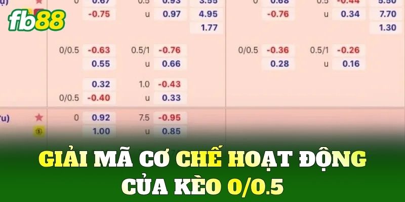 Kèo 0/0.5 Và Chiến Thuật Soi Odds Thơm Từ Cao Thủ FB88