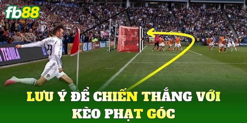 Kèo Phạt Góc FB88: Bí Quyết Soi Kèo Chuẩn Xác Cho Mọi Trận