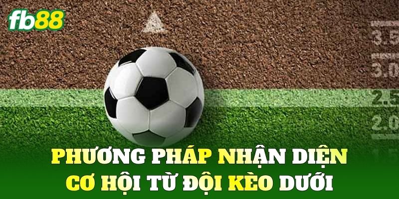 Kèo Dưới: Chiến Thuật Chia Vốn Thông Minh Không Thua FB88