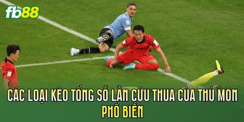 Kèo Tổng Số Lần Cứu Thua Của Thủ Môn Chi Tiết Kèo Tổng Số Lần Cứu Thua Của Thủ Môn Chi Tiết