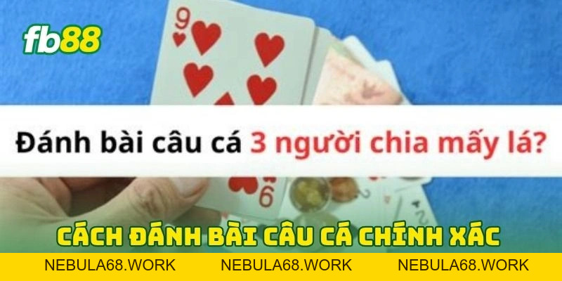 Bài Câu Cá FB88 2026 - Bí Kíp Chơi Hay Thắng Lớn Cực Đậm! Bài Câu Cá FB88 2026 - Bí Kíp Chơi Hay Thắng Lớn Cực Đậm!