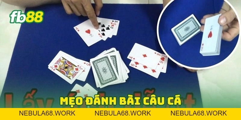 Bài Câu Cá FB88 2026 - Bí Kíp Chơi Hay Thắng Lớn Cực Đậm! Bài Câu Cá FB88 2026 - Bí Kíp Chơi Hay Thắng Lớn Cực Đậm!