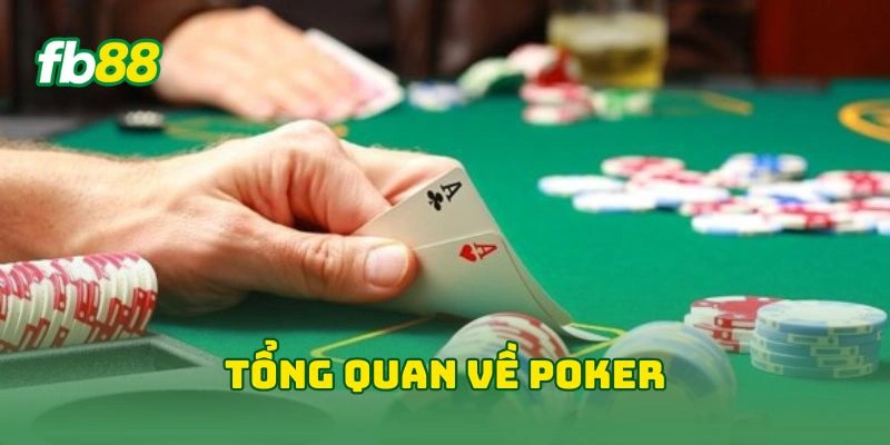 Poker Tại FB88 - 5 Bí Kíp Làm Chủ Game Bài Đỉnh Cao 2026! Poker Tại FB88 - 5 Bí Kíp Làm Chủ Game Bài Đỉnh Cao 2026!