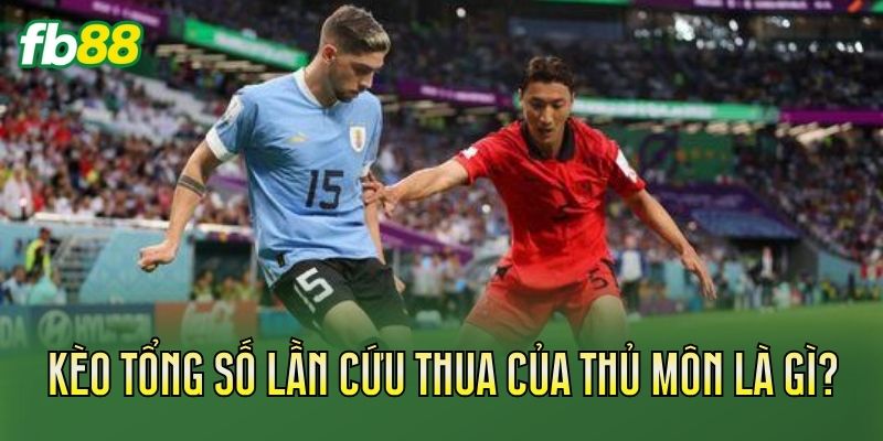 Kèo Tổng Số Lần Cứu Thua Của Thủ Môn Chi Tiết Kèo Tổng Số Lần Cứu Thua Của Thủ Môn Chi Tiết