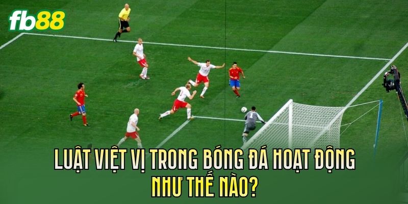 Kèo Tổng Số Lần Việt Vị Là Gì? Hiểu Đúng Luật Bóng Đá