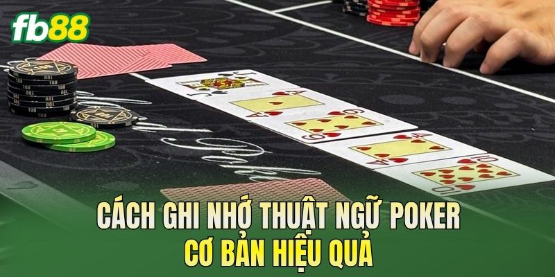 Thuật Ngữ Poker Cơ Bản Người Mới Cần Biết