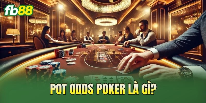 Cách Tính Pot Odds Poker: Công Thức & Ví Dụ Thực Tế