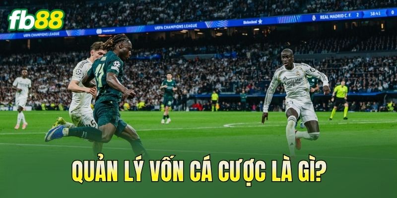 Quản Lý Vốn Cá Cược Hiệu Quả Như Thế Nào? Quản Lý Vốn Cá Cược Hiệu Quả Như Thế Nào?