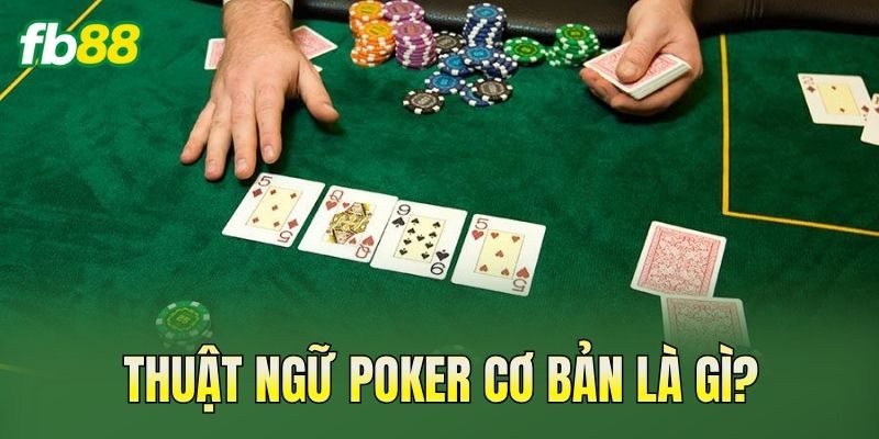 Thuật Ngữ Poker Cơ Bản Người Mới Cần Biết