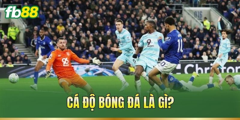 Cá Độ Bóng Đá – Cách Đọc Kèo Và Phân Tích Trận Đấu Cá Độ Bóng Đá – Cách Đọc Kèo Và Phân Tích Trận Đấu