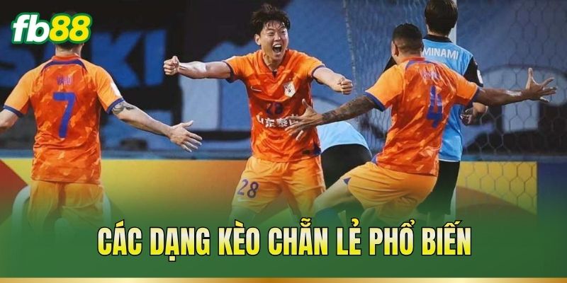 Kèo Chẵn Lẻ – Cách Xác Định Mốc Và Đọc Tỷ Lệ Trận Đấu