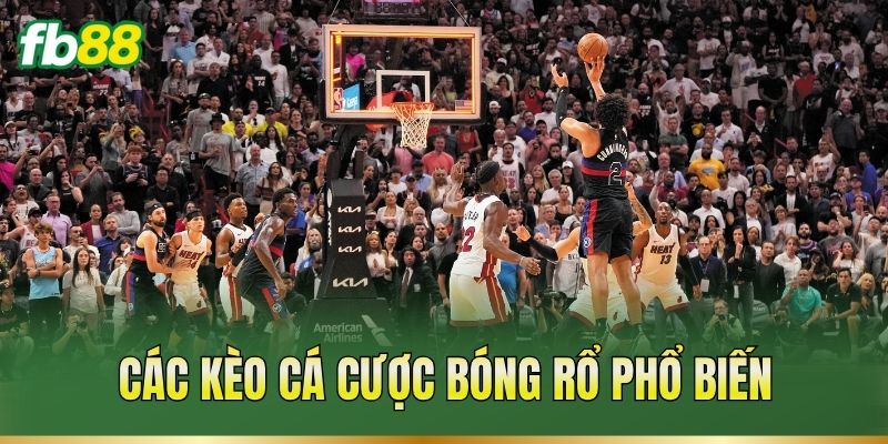 Cá Cược Bóng Rổ – Đọc Kèo Điểm Số Và Phân Tích Trận