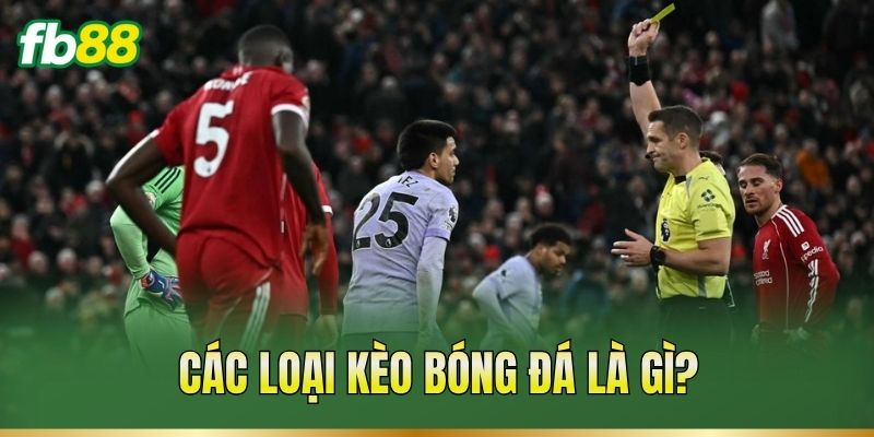 Các Loại Kèo Bóng Đá – Đặc Điểm Và Cách Đọc Tỷ Lệ Kèo Các Loại Kèo Bóng Đá – Đặc Điểm Và Cách Đọc Tỷ Lệ Kèo