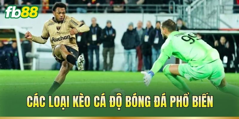 Cá Độ Bóng Đá – Cách Đọc Kèo Và Phân Tích Trận Đấu Cá Độ Bóng Đá – Cách Đọc Kèo Và Phân Tích Trận Đấu