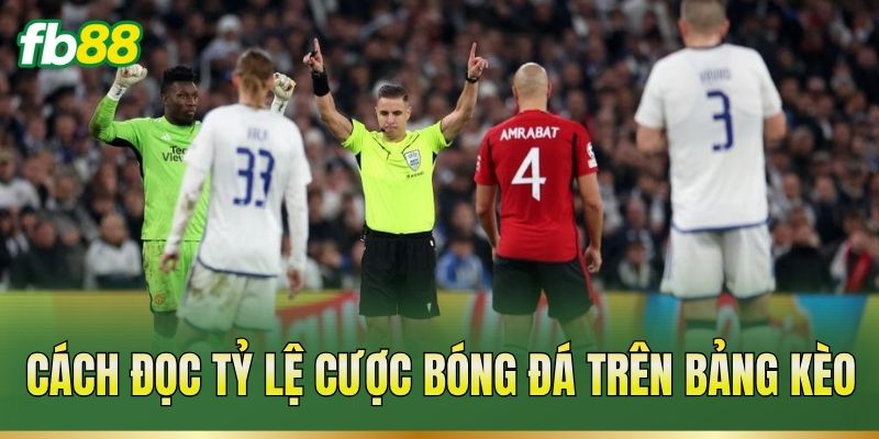 Tỷ Lệ Cược Bóng Đá – Cách Đọc Mốc Và Tính Tiền Cược