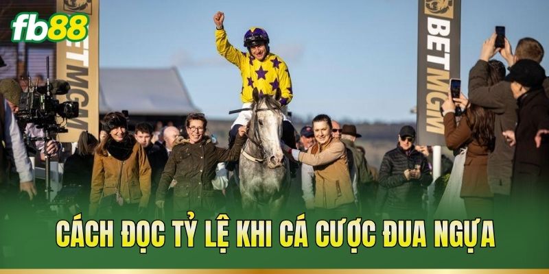 Cá Cược Đua Ngựa – Phân Tích Ngựa Đua Và Cách Đọc Kèo Cá Cược Đua Ngựa – Phân Tích Ngựa Đua Và Cách Đọc Kèo