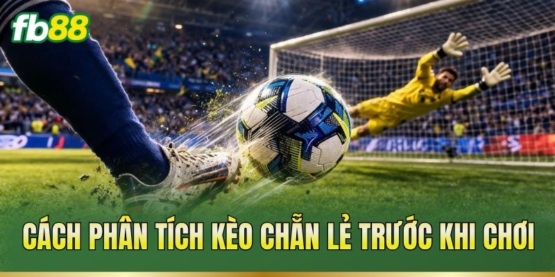 Kèo Chẵn Lẻ – Cách Xác Định Mốc Và Đọc Tỷ Lệ Trận Đấu
