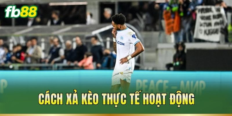 Xả Kèo Là Gì? Cách Thoát Kèo Đúng Lúc, Giảm Rủi Ro Xả Kèo Là Gì? Cách Thoát Kèo Đúng Lúc, Giảm Rủi Ro