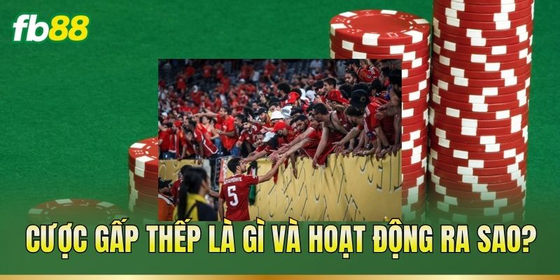 Cược Gấp Thếp – Cách Tính Mức Cược Qua Từng Kèo Bóng