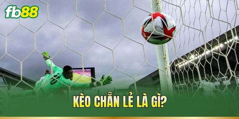 Kèo Chẵn Lẻ – Cách Xác Định Mốc Và Đọc Tỷ Lệ Trận Đấu