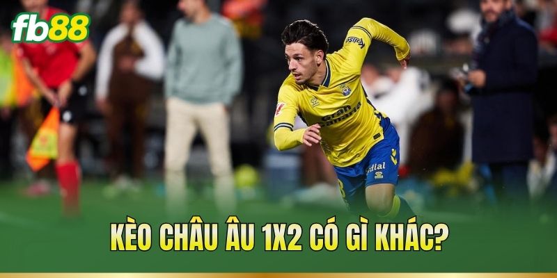 Các Loại Kèo Bóng Đá – Đặc Điểm Và Cách Đọc Tỷ Lệ Kèo Các Loại Kèo Bóng Đá – Đặc Điểm Và Cách Đọc Tỷ Lệ Kèo