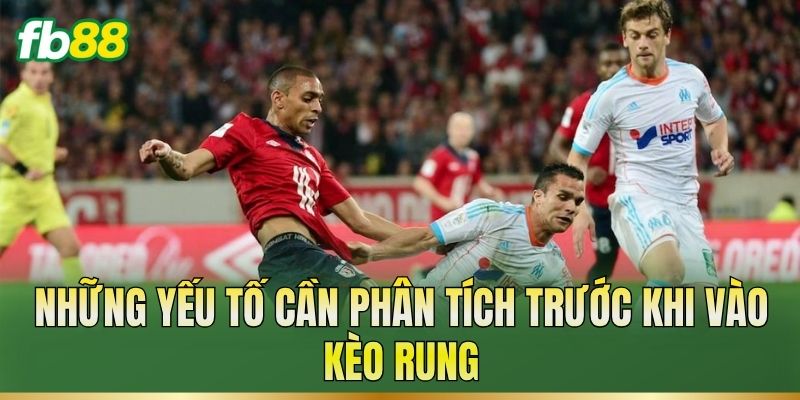 Kèo Rung – Cách Đọc Tỷ Lệ Và Theo Dõi Biến Động Kèo