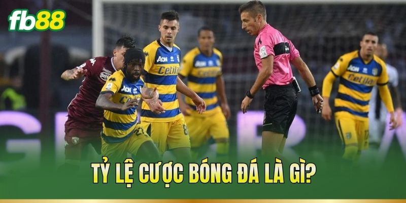 Tỷ Lệ Cược Bóng Đá – Cách Đọc Mốc Và Tính Tiền Cược