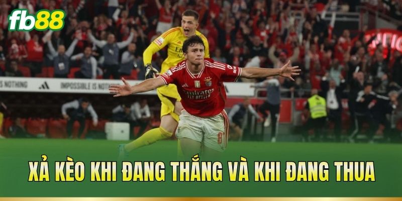 Xả Kèo Là Gì? Cách Thoát Kèo Đúng Lúc, Giảm Rủi Ro Xả Kèo Là Gì? Cách Thoát Kèo Đúng Lúc, Giảm Rủi Ro