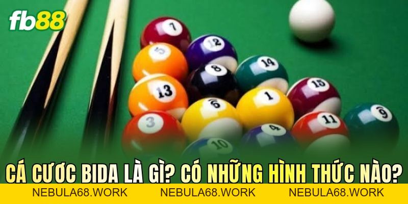 Cá Cược Bida: Luật Chơi, Các Loại Kèo Và Cách Đọc Tỷ Lệ