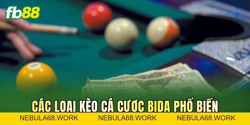 Cá Cược Bida: Luật Chơi, Các Loại Kèo Và Cách Đọc Tỷ Lệ
