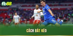 Tin Tức - FB88 nhà cái