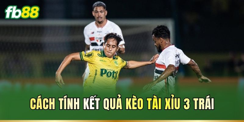 Tài Xỉu 3 Trái FB88 Là Gì? Cách Đọc Tránh hụt Kèo Thơm