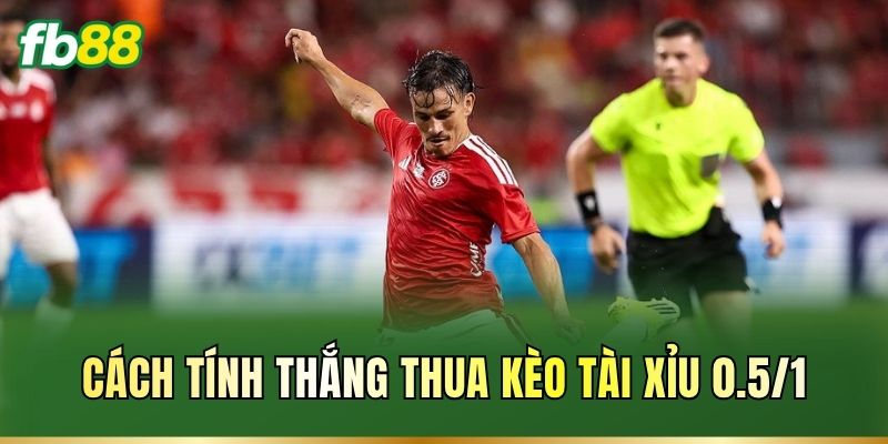Tài Xỉu 0.5/1: Cách Đọc Kèo Và Tính Thắng Thua Chuẩn FB88
