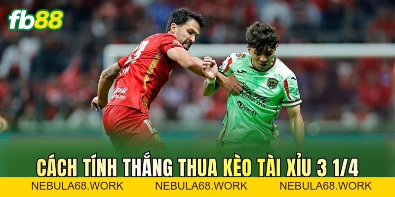 Tài Xỉu 3 1/4 Là Gì? Kèo Bóng Thu Hút Cược Thủ Tại FB88 Tài Xỉu 3 1/4 Là Gì? Kèo Bóng Thu Hút Cược Thủ Tại FB88