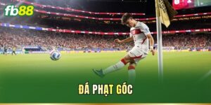 Tin Tức - FB88 nhà cái