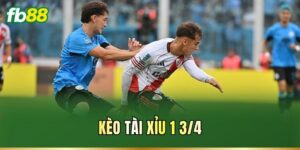 Tin Tức - FB88 nhà cái