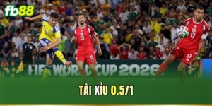 Tin Tức - FB88 nhà cái