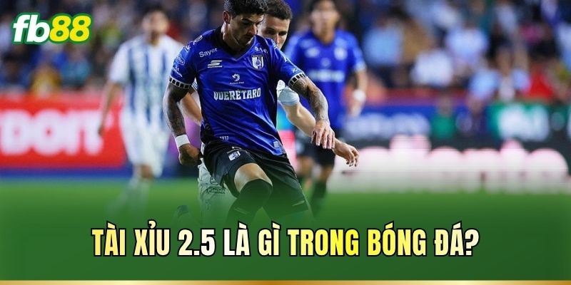 Tài Xỉu 2.5 Là Gì? Cách Đọc Kèo Và Tính Thắng Thua Chuẩn Tài Xỉu 2.5 Là Gì? Cách Đọc Kèo Và Tính Thắng Thua Chuẩn